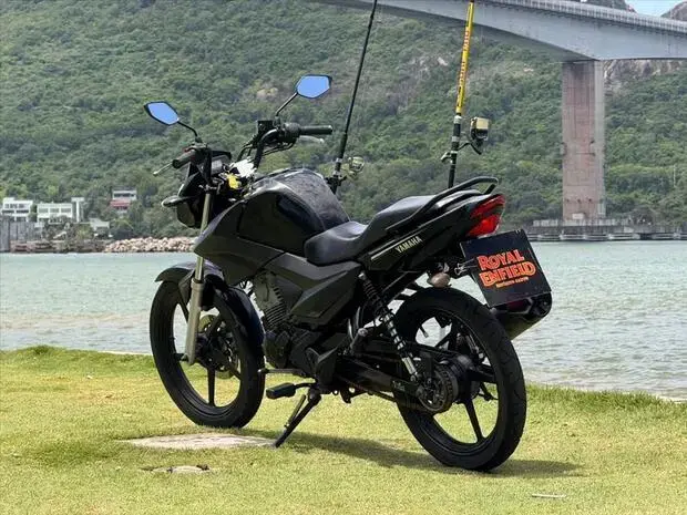 Yamaha FACTOR YBR 150 ED