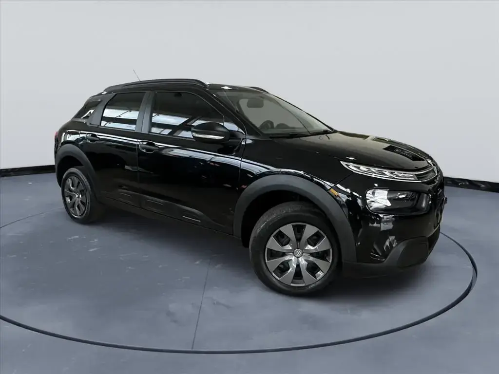 galeria C4 CACTUS