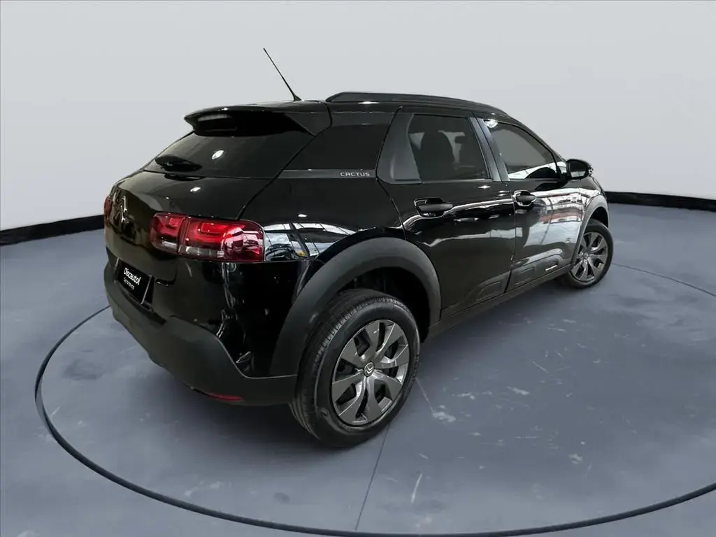 galeria C4 CACTUS