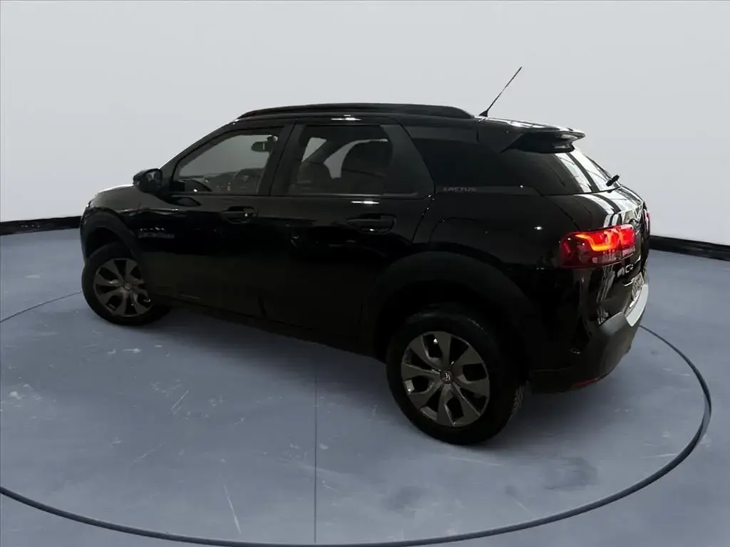galeria C4 CACTUS