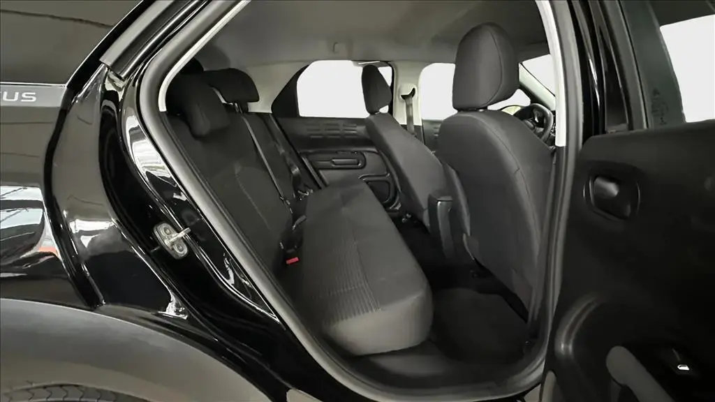 galeria C4 CACTUS