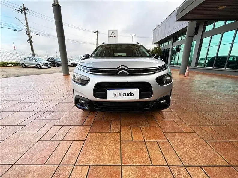 galeria C4 CACTUS