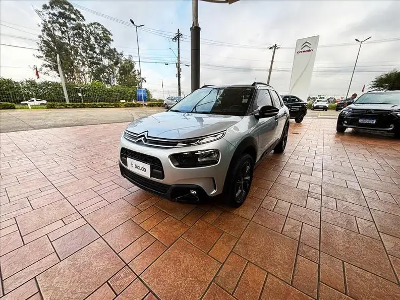 galeria C4 CACTUS