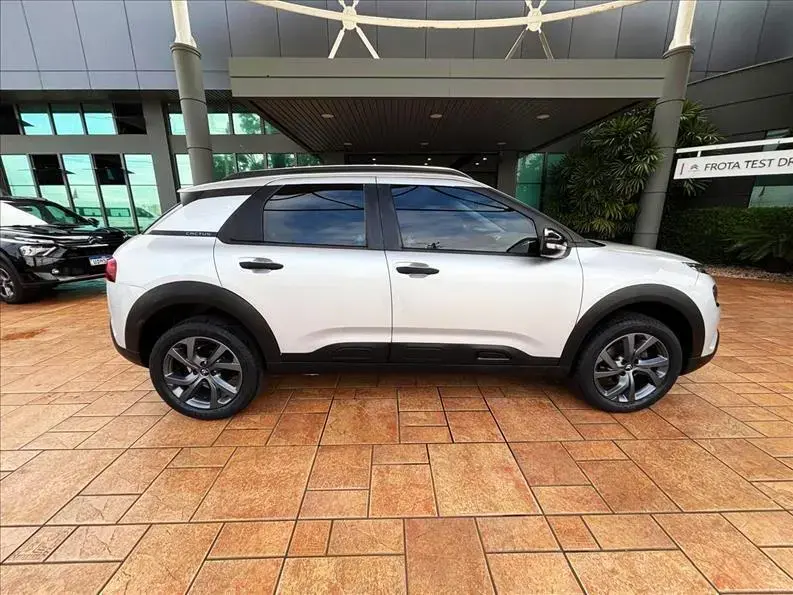 galeria C4 CACTUS