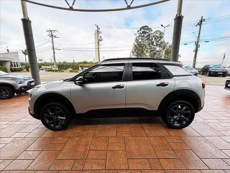 galeria C4 CACTUS