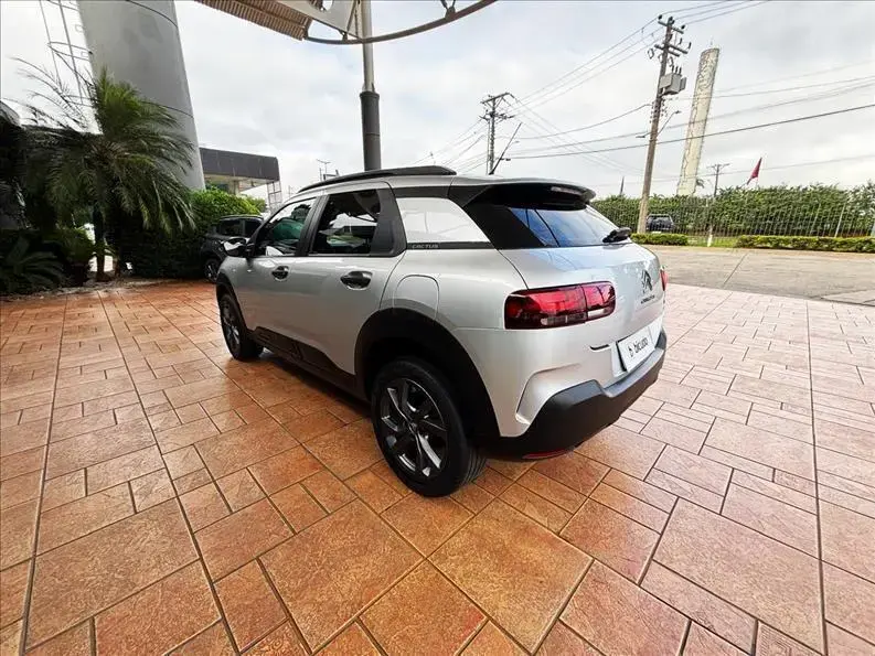galeria C4 CACTUS