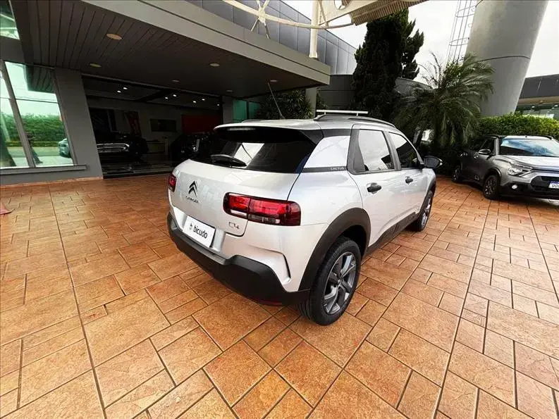 galeria C4 CACTUS