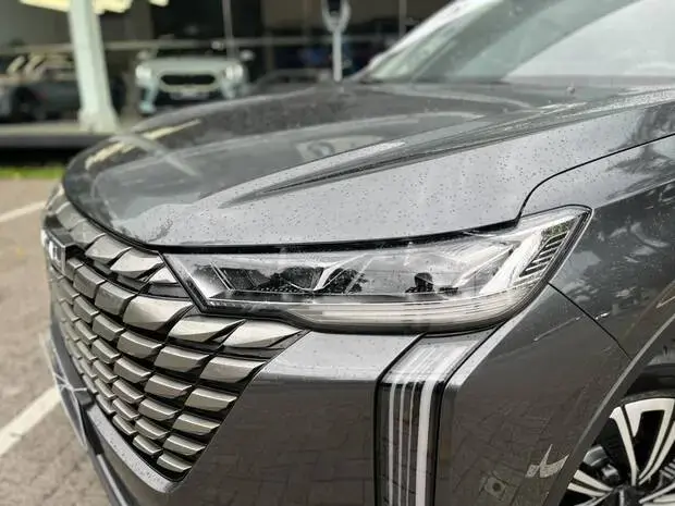 Gwm Haval H6 PHEV19