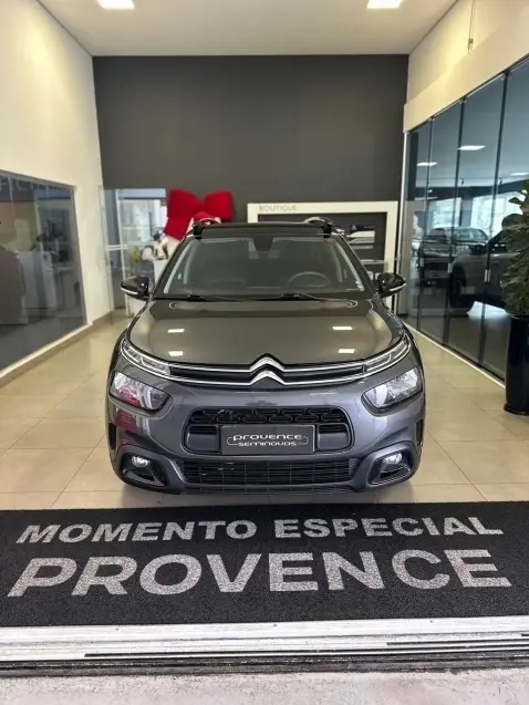 galeria C4 CACTUS
