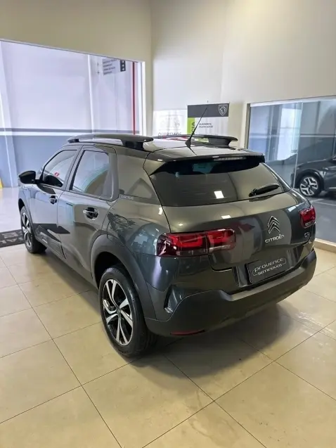 galeria C4 CACTUS