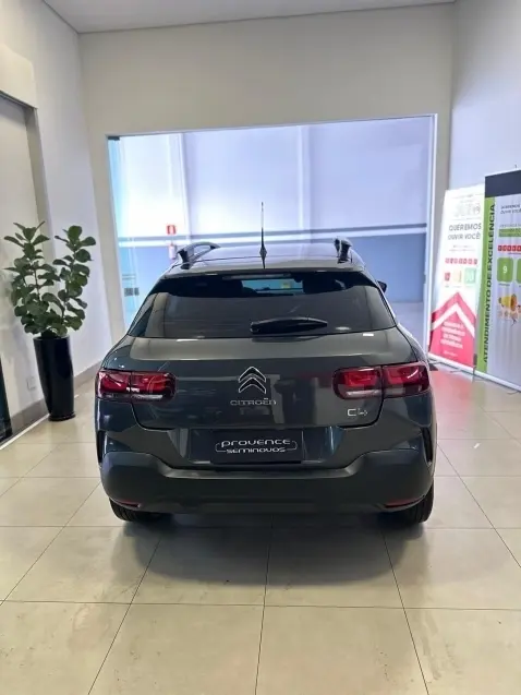 galeria C4 CACTUS