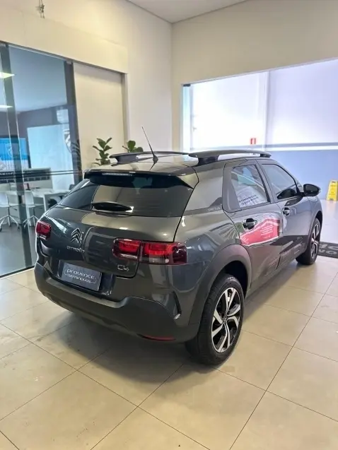 galeria C4 CACTUS