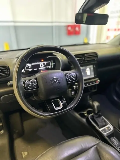 galeria C4 CACTUS