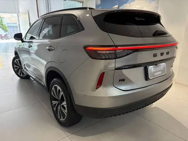 Gwm Haval H6 PHEV19
