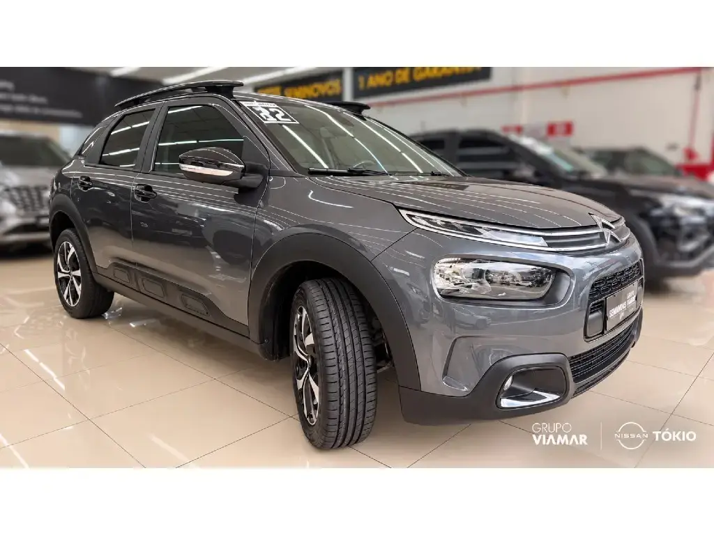 galeria C4 CACTUS