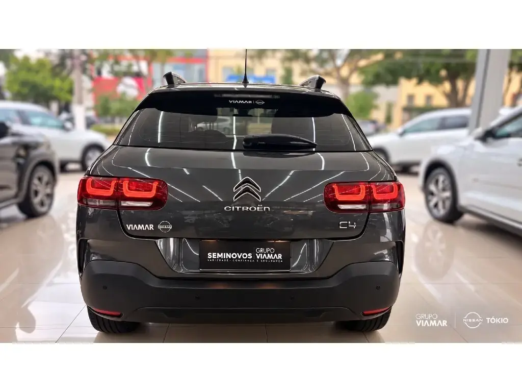 galeria C4 CACTUS