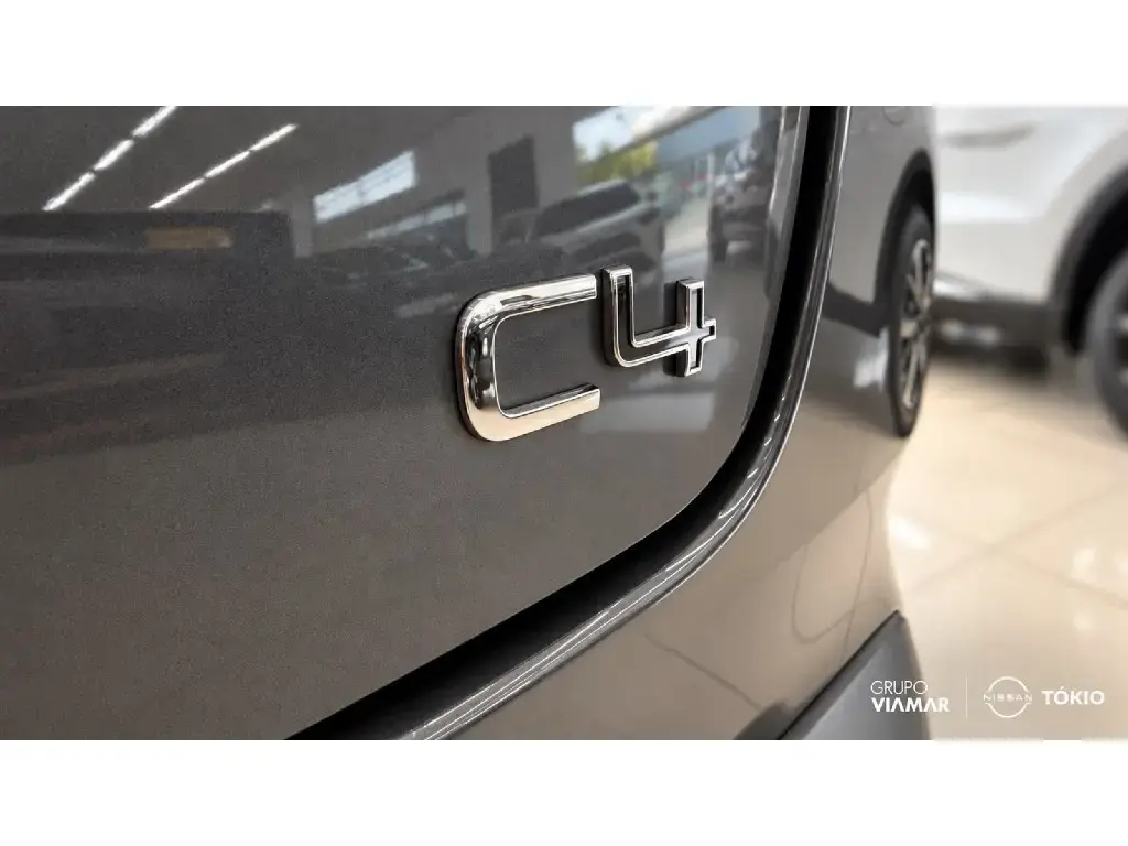 galeria C4 CACTUS