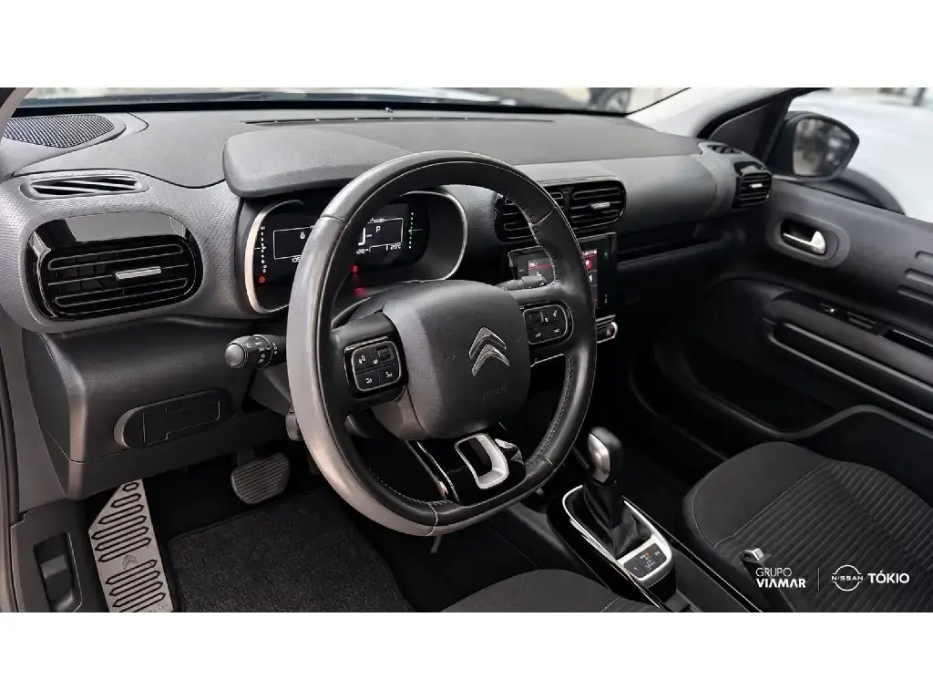 galeria C4 CACTUS