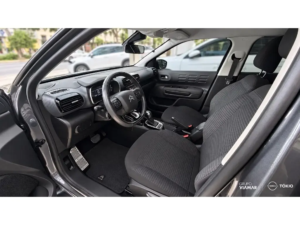 galeria C4 CACTUS