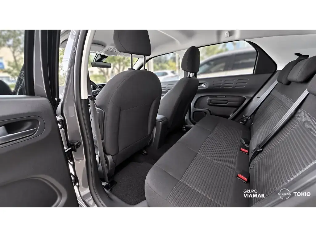 galeria C4 CACTUS