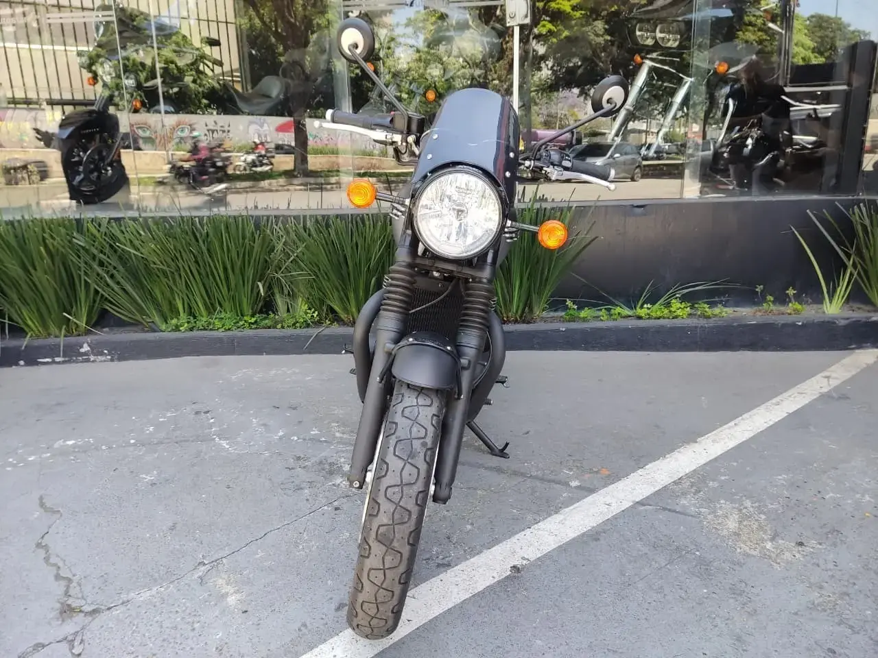 galeria Bonneville T120