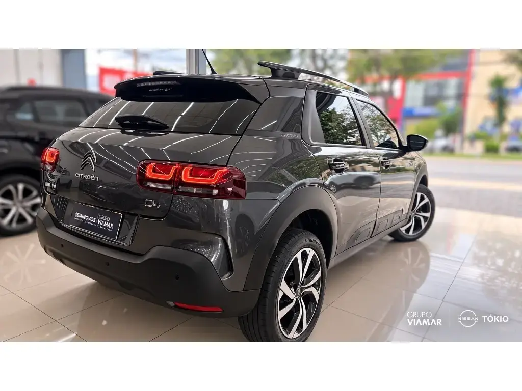 galeria C4 CACTUS