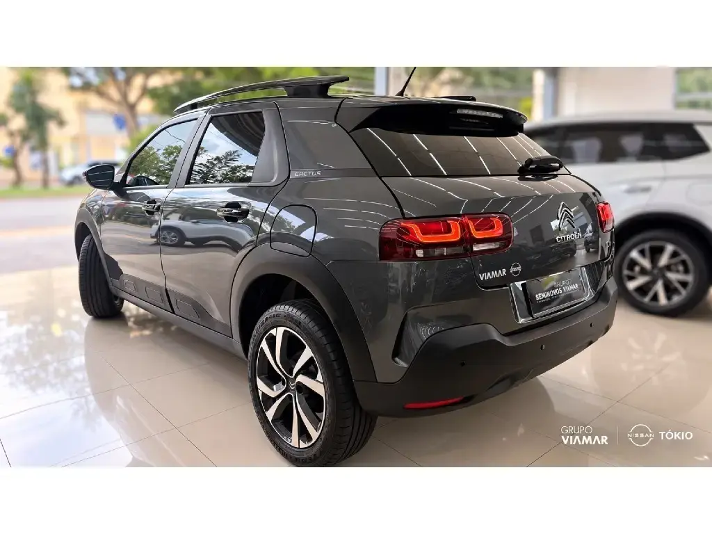 galeria C4 CACTUS