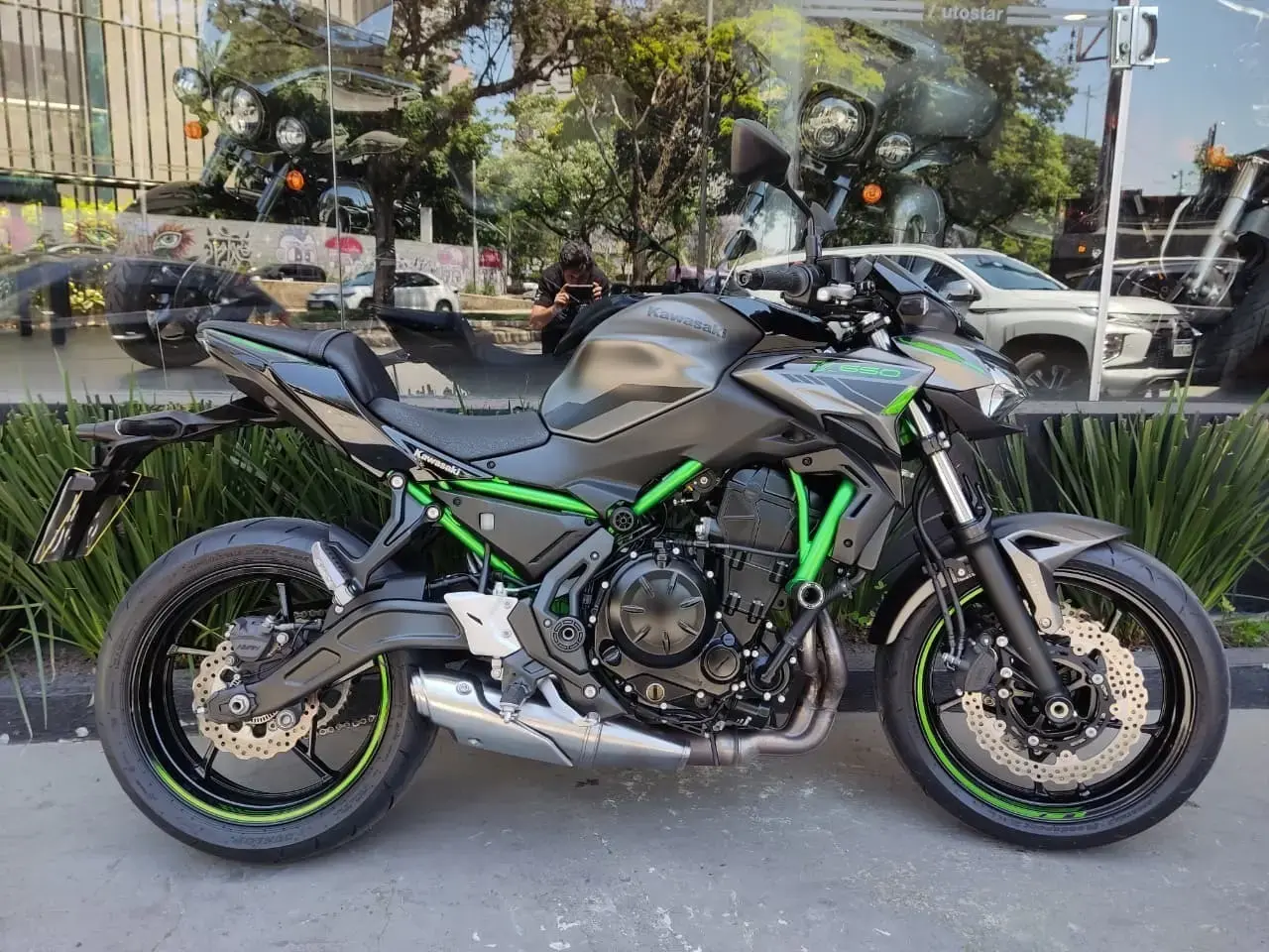 galeria Z 650