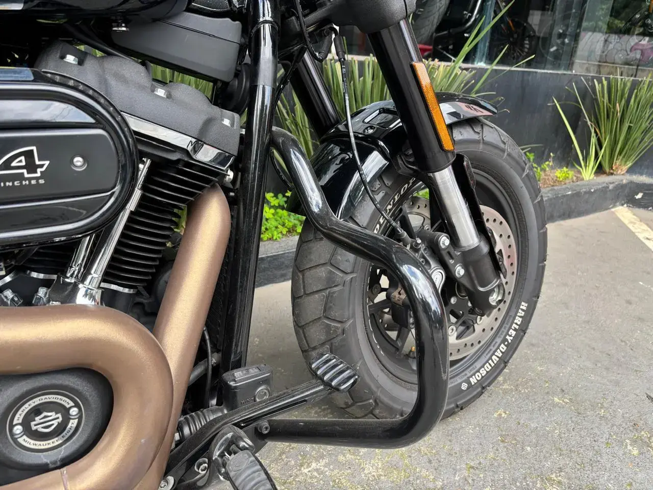 galeria FAT BOB FXFBS