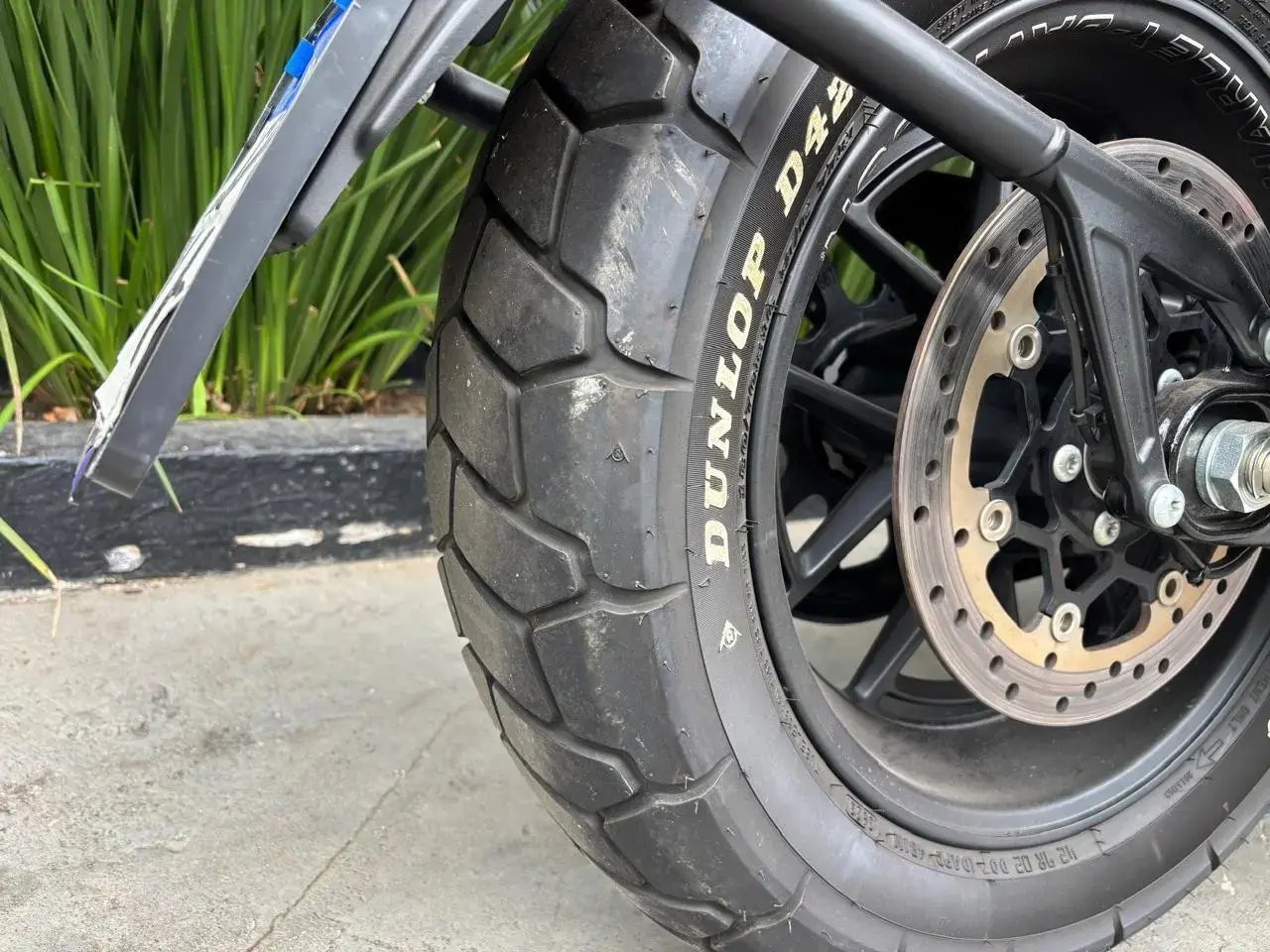 galeria FAT BOB FXFBS