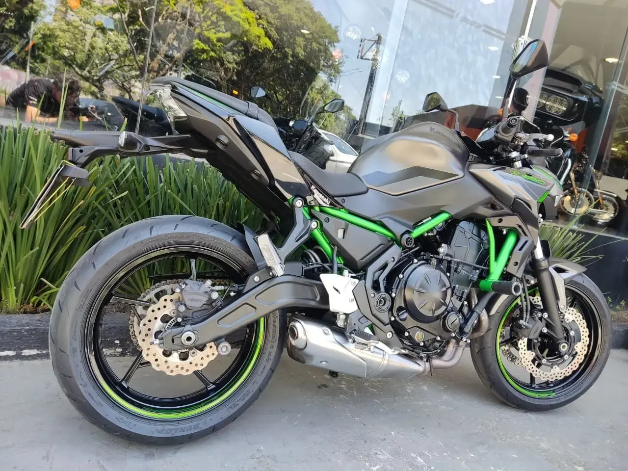 galeria Z 650