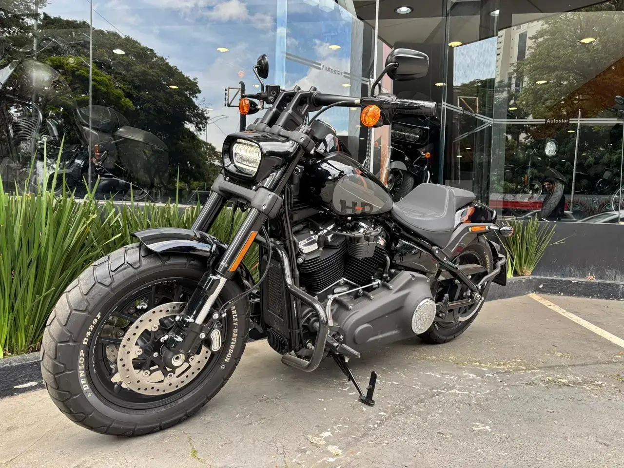 galeria FAT BOB FXFBS