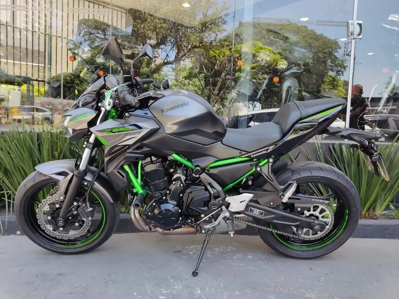 galeria Z 650