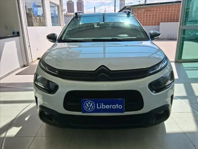 galeria C4 CACTUS