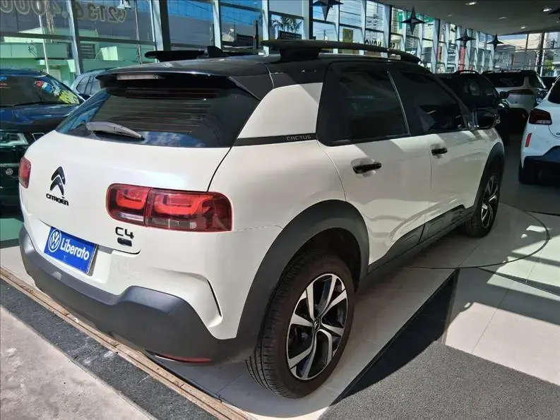 galeria C4 CACTUS