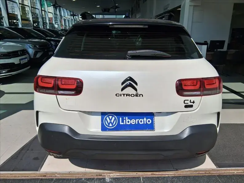 galeria C4 CACTUS