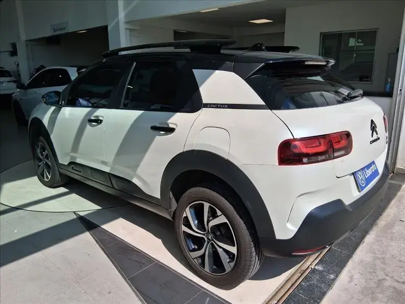 galeria C4 CACTUS