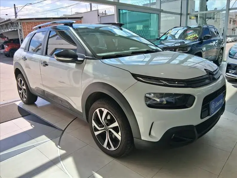 galeria C4 CACTUS