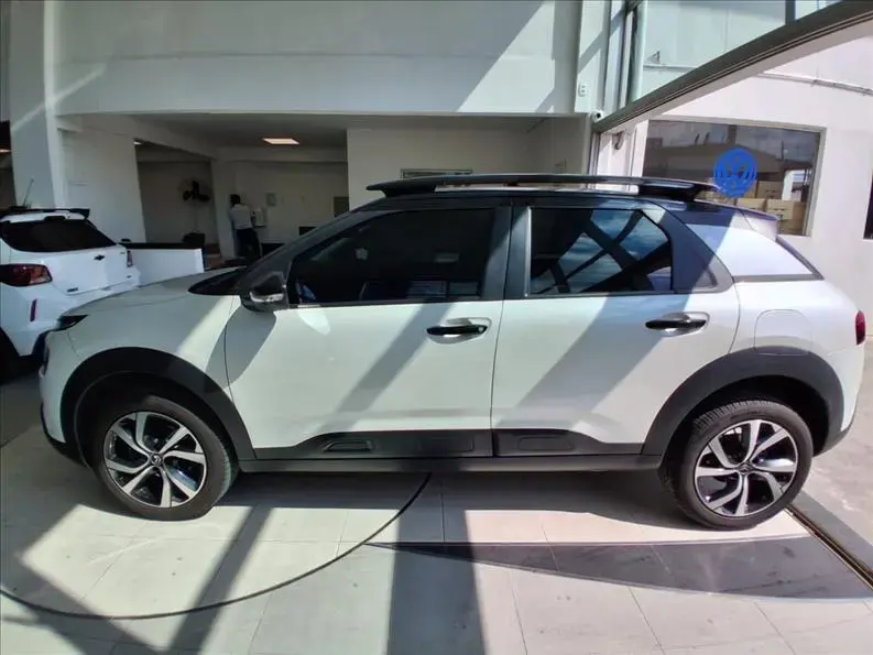 galeria C4 CACTUS