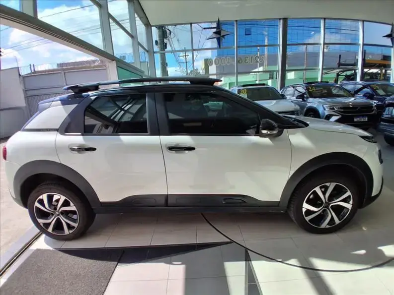 galeria C4 CACTUS