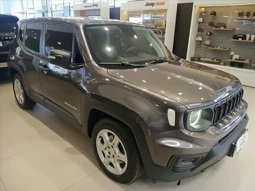 galeria RENEGADE