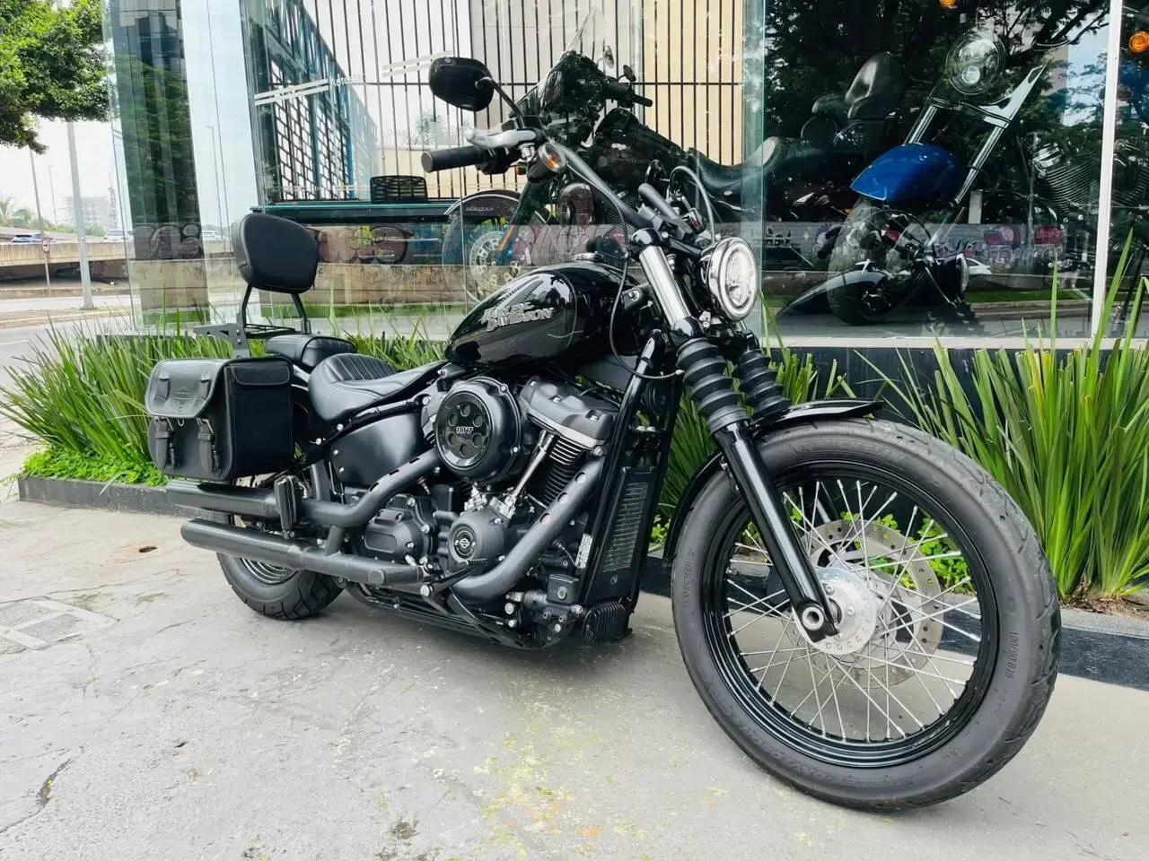galeria Softail