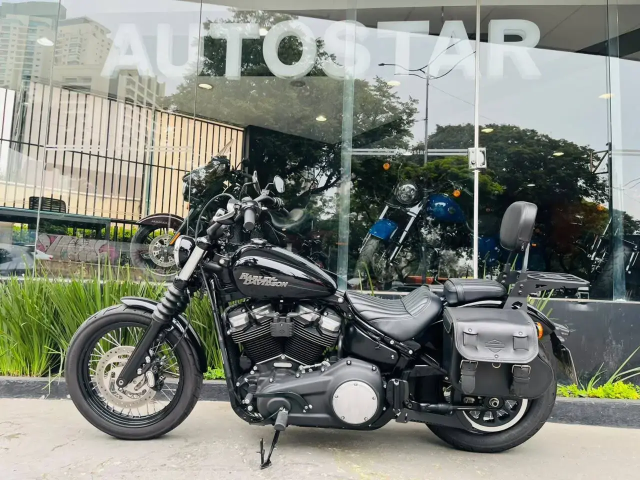 galeria Softail