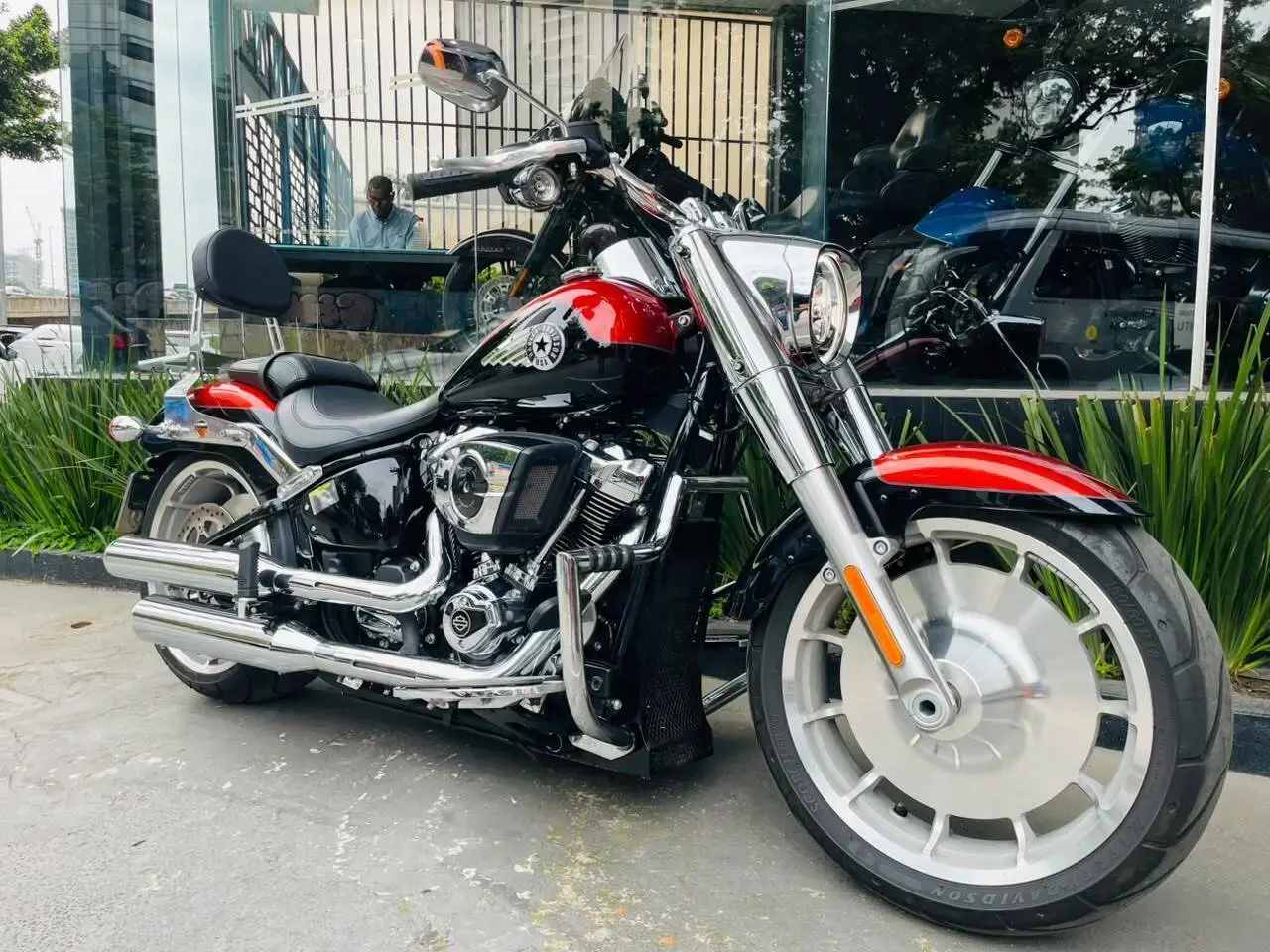galeria Softail