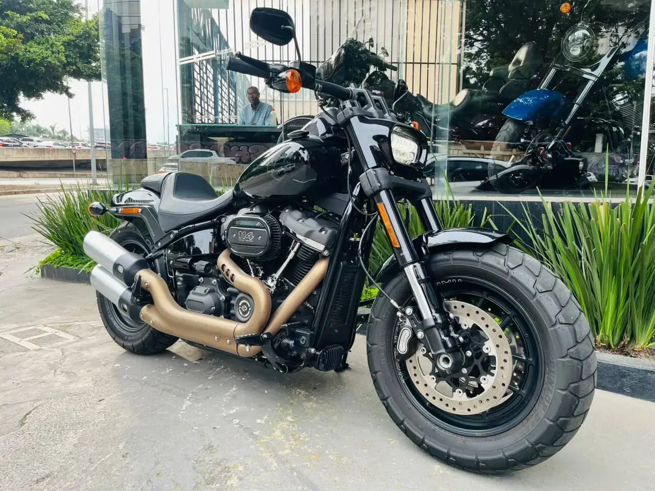 galeria FAT BOB FXFBS