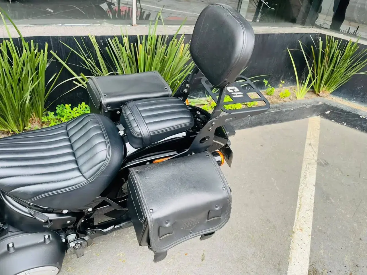 galeria Softail