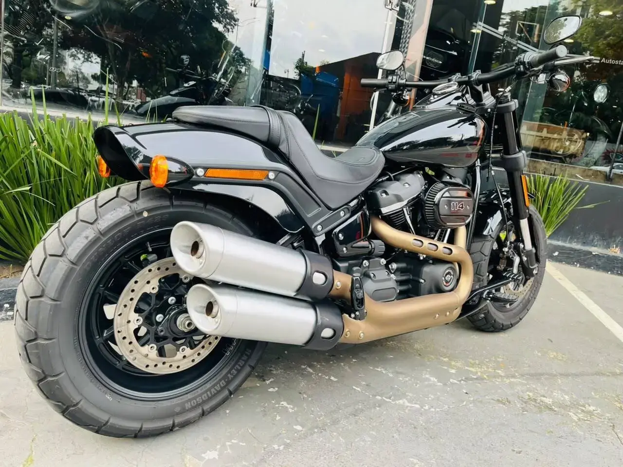 galeria FAT BOB FXFBS