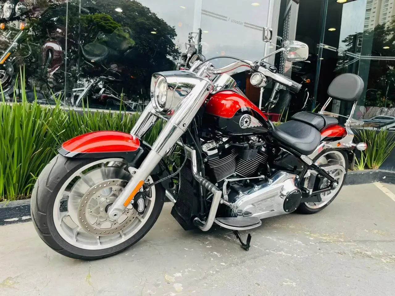 galeria Softail