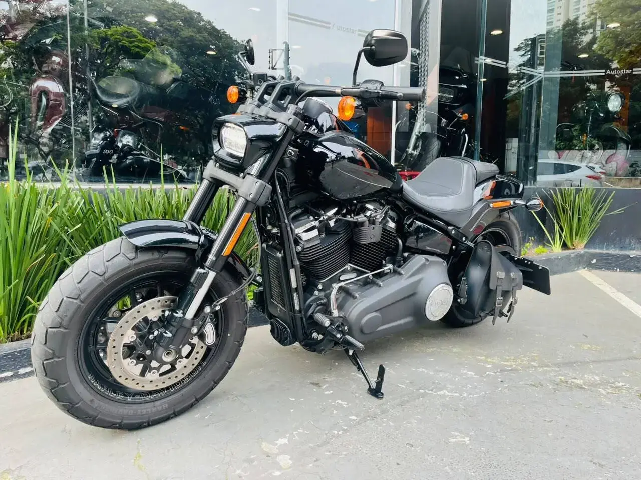 galeria FAT BOB FXFBS