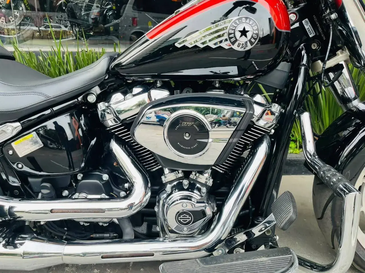 galeria Softail